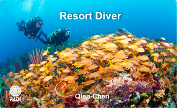 12/12正式上線！PADI 最新課程【休閑潛水員Resort Diver】 丨 一天拿證，潛遍全球