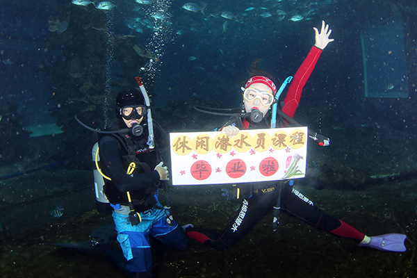 12/12正式上線！PADI 最新課程【休閑潛水員Resort Diver】 丨 一天拿證，潛遍全球