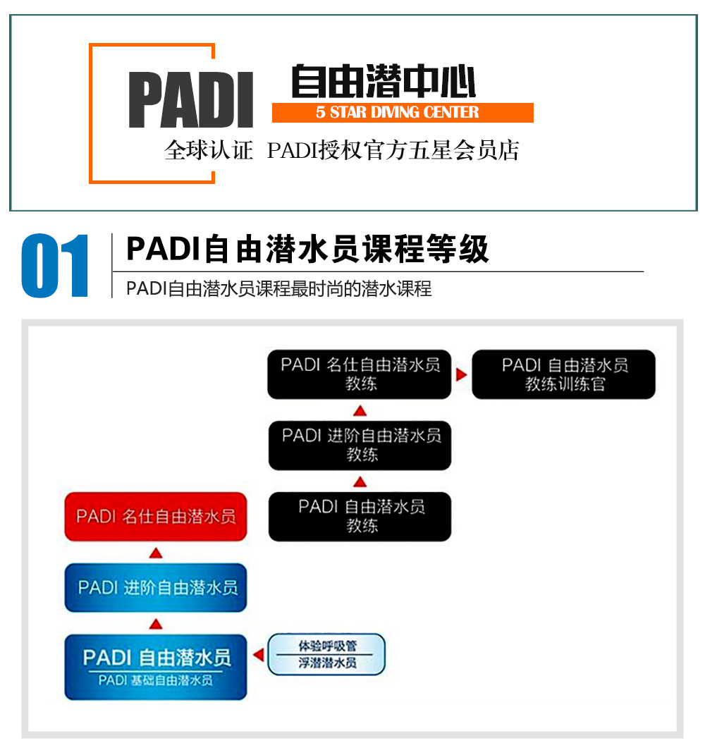 三亞PADI基礎自由潛課程