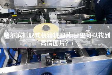 哈爾濱抓取式裝箱機(jī)圖片(哪里可以找到高清圖片?) 哈爾濱抓取式裝箱機(jī)圖片(哪里可以找到高清圖片?)
