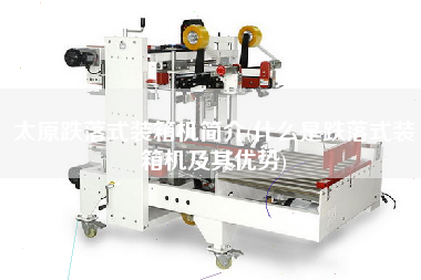 太原跌落式裝箱機(jī)簡(jiǎn)介(什么是跌落式裝箱機(jī)及其優(yōu)勢(shì)) 太原跌落式裝箱機(jī)簡(jiǎn)介(什么是跌落式裝箱機(jī)及其優(yōu)勢(shì))