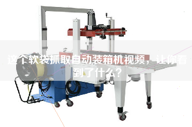 這個(gè)軟袋抓取自動(dòng)裝箱機(jī)視頻,讓你看到了什么? 這個(gè)軟袋抓取自動(dòng)裝箱機(jī)視頻,讓你看到了什么?
