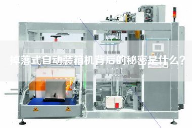 掉落式自動裝箱機背后的秘密是什么? 掉落式自動裝箱機背后的秘密是什么?