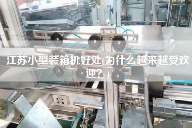 江蘇小型裝箱機好處(為什么越來越受歡迎?) 江蘇小型裝箱機好處(為什么越來越受歡迎?)