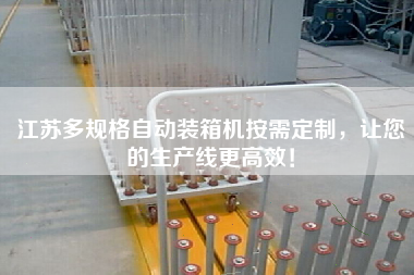 江蘇多規(guī)格自動裝箱機按需定制,讓您的生產(chǎn)線z高效! 江蘇多規(guī)格自動裝箱機按需定制,讓您的生產(chǎn)線z高效!