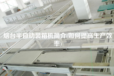 煙臺(tái)半自動(dòng)裝箱機(jī)簡(jiǎn)介(如何提高生產(chǎn)效率) 煙臺(tái)半自動(dòng)裝箱機(jī)簡(jiǎn)介(如何提高生產(chǎn)效率)