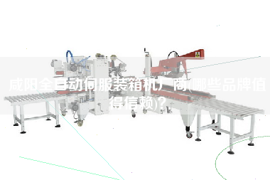 咸陽全自動(dòng)伺服裝箱機(jī)廠商(哪些品牌值得信賴)? 咸陽全自動(dòng)伺服裝箱機(jī)廠商(哪些品牌值得信賴)?